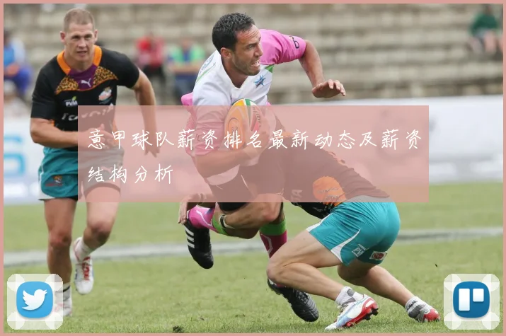 意甲球队薪资排名最新动态及薪资结构分析