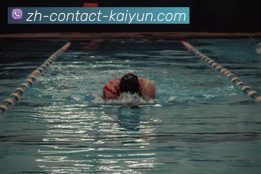 kaiyun平台生态图